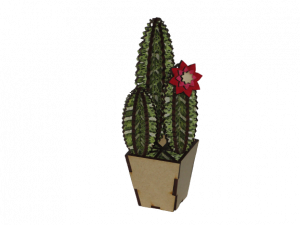 Laser Cut and Vinyl Cactus