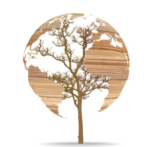 Laser Cut 3mm MDF & Vinyl