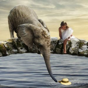 Gentelman Elephant Canvas Print