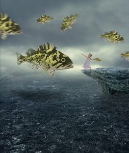 field, fish, surreal-7681906.jpg