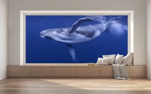 Wall Art Vinyl Print