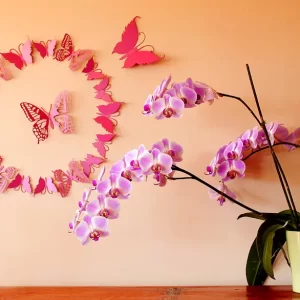 3D Butterflies wall art