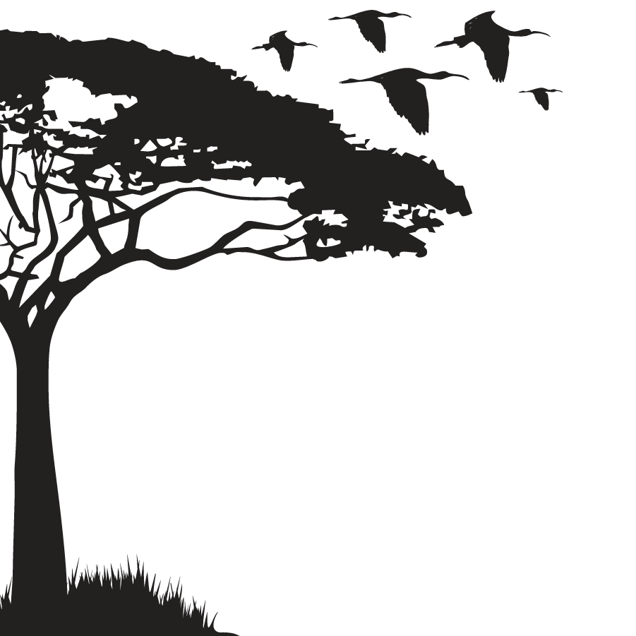 Acacia Half Tree - vinyl wall sticker - Image 2